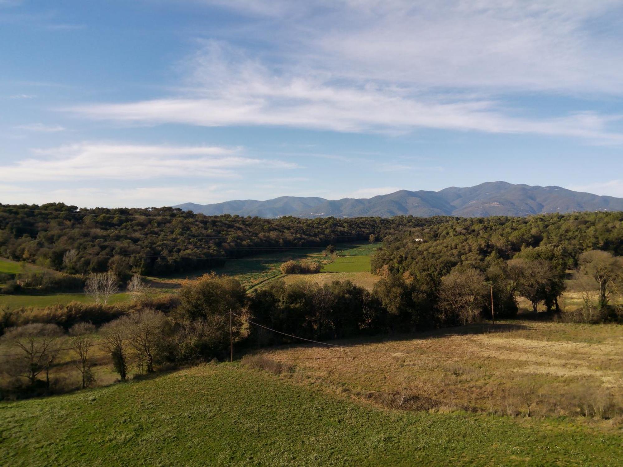 Masia Can Felip B&B Llinars del Valles Экстерьер фото