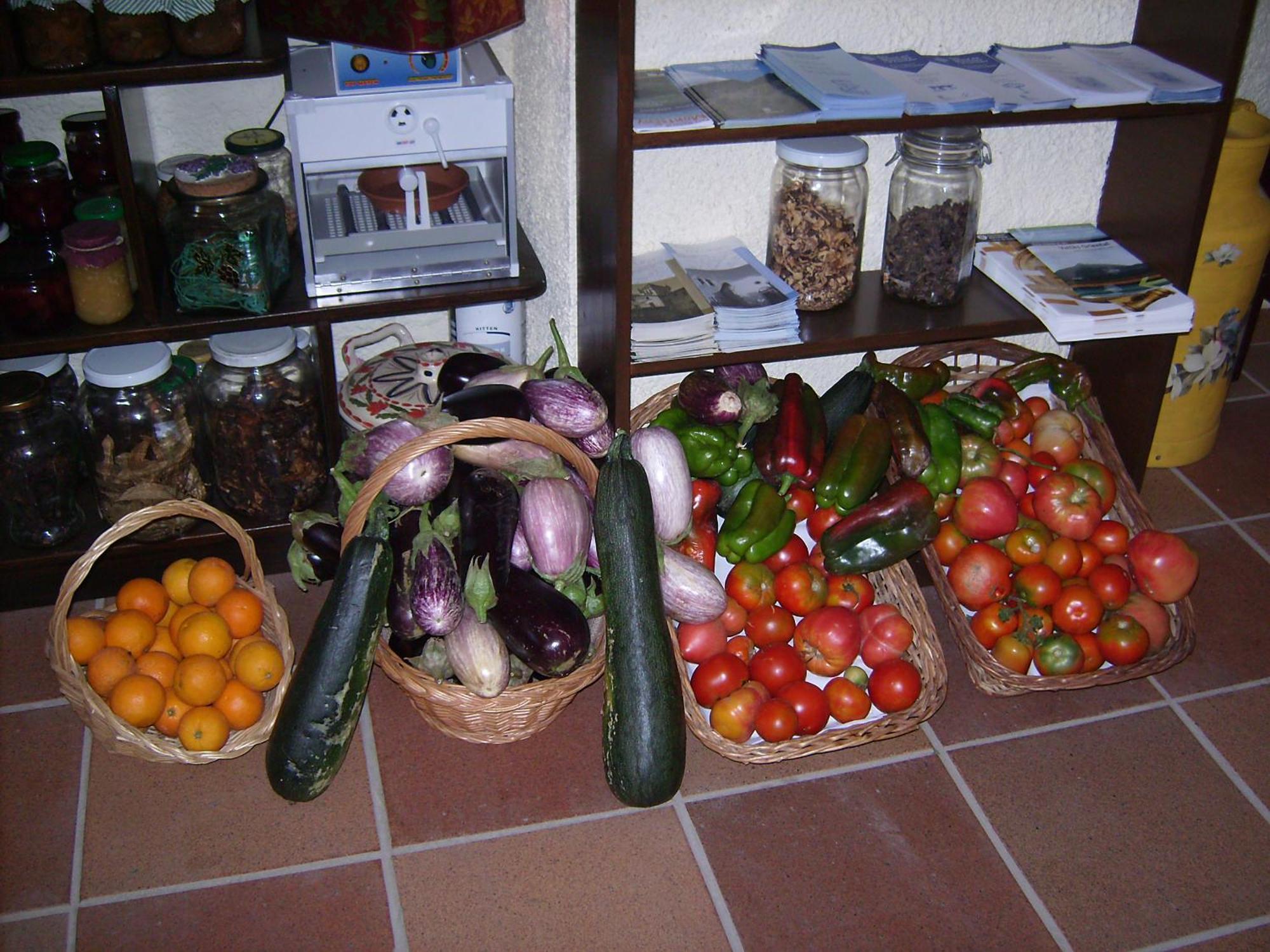 Masia Can Felip B&B Llinars del Valles Экстерьер фото