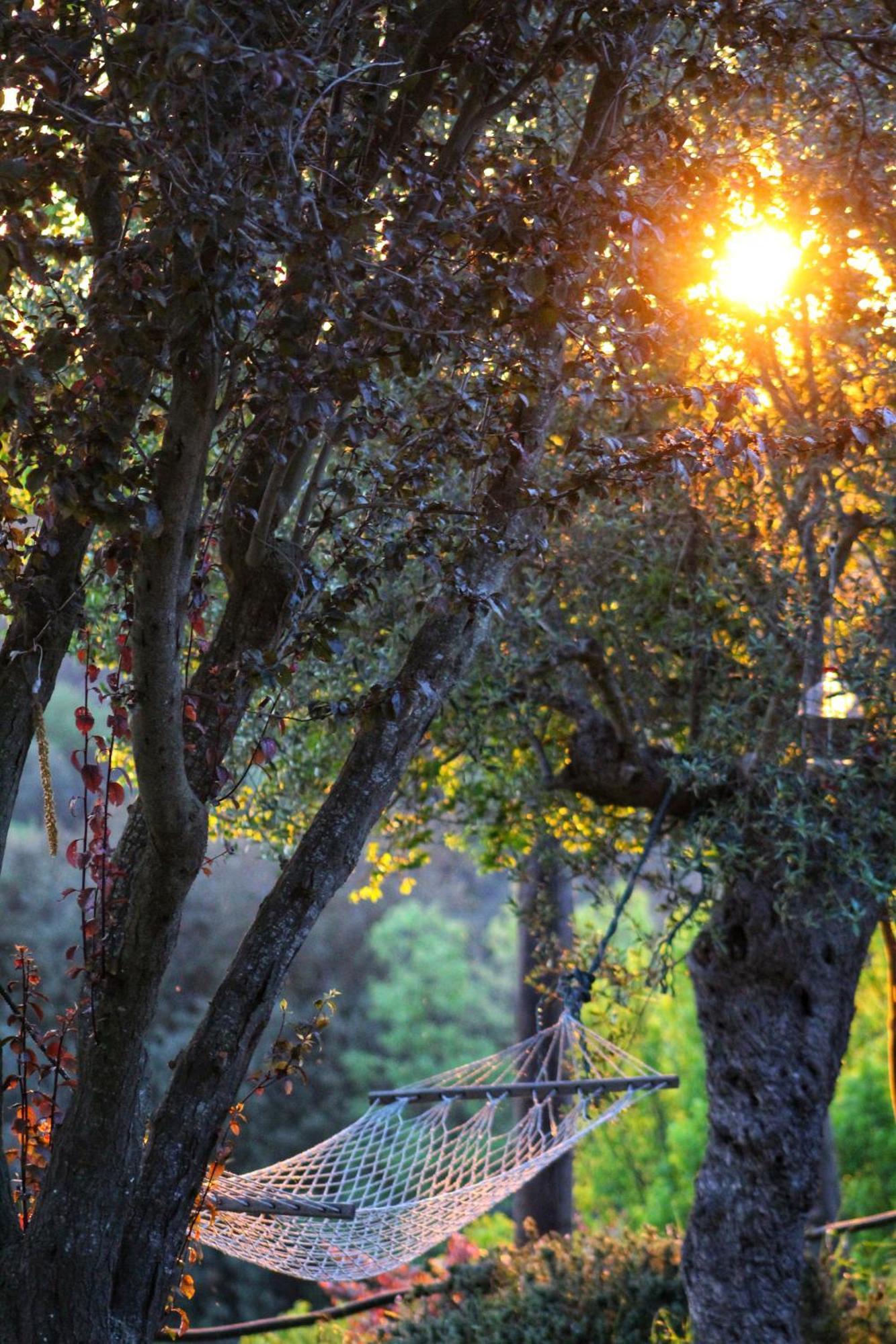 Masia Can Felip B&B Llinars del Valles Экстерьер фото