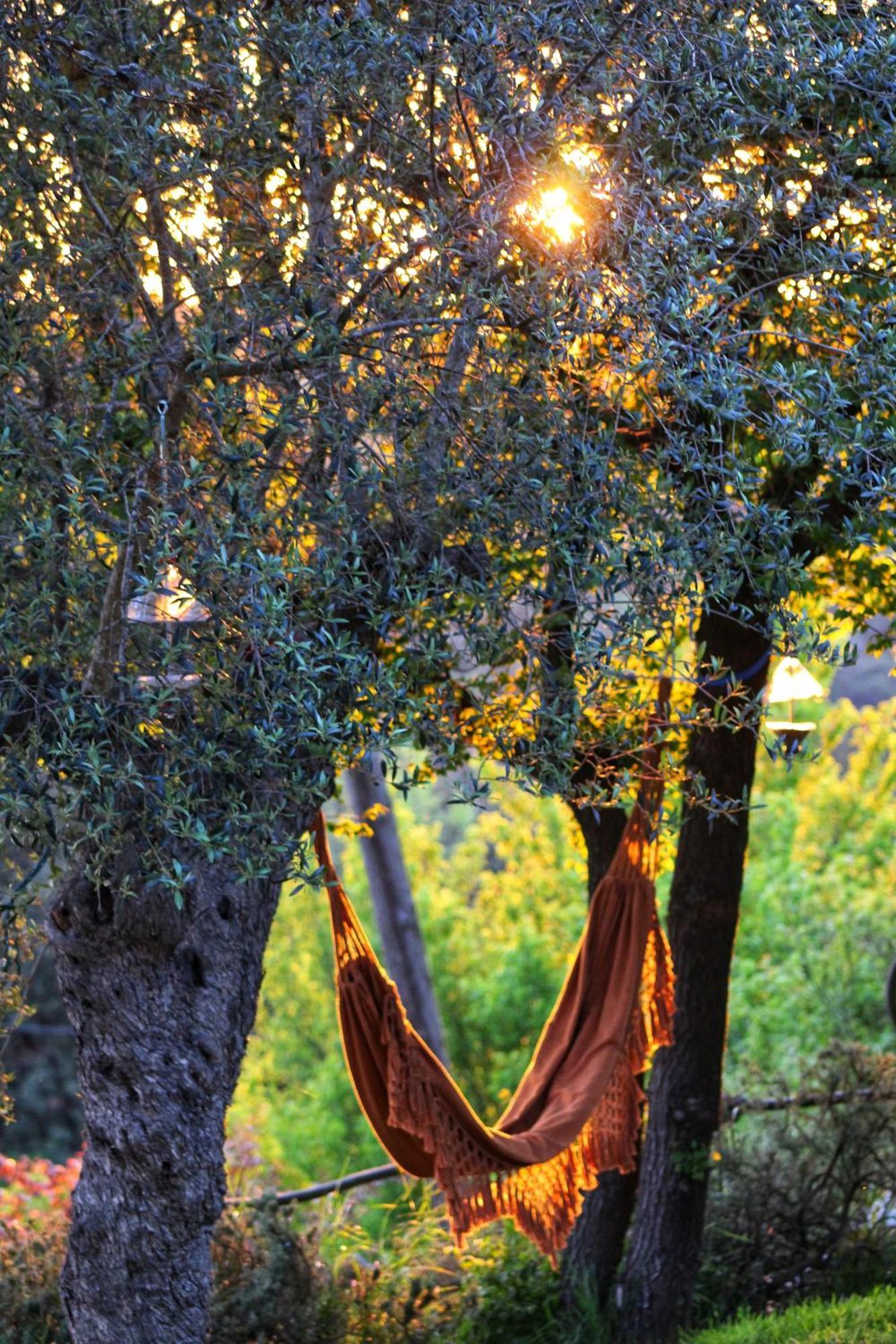 Masia Can Felip B&B Llinars del Valles Экстерьер фото